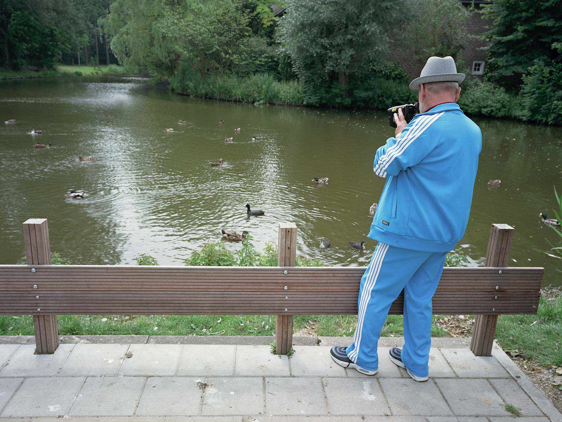 Man filming ducks in pond, man filmt eendjes in vijver