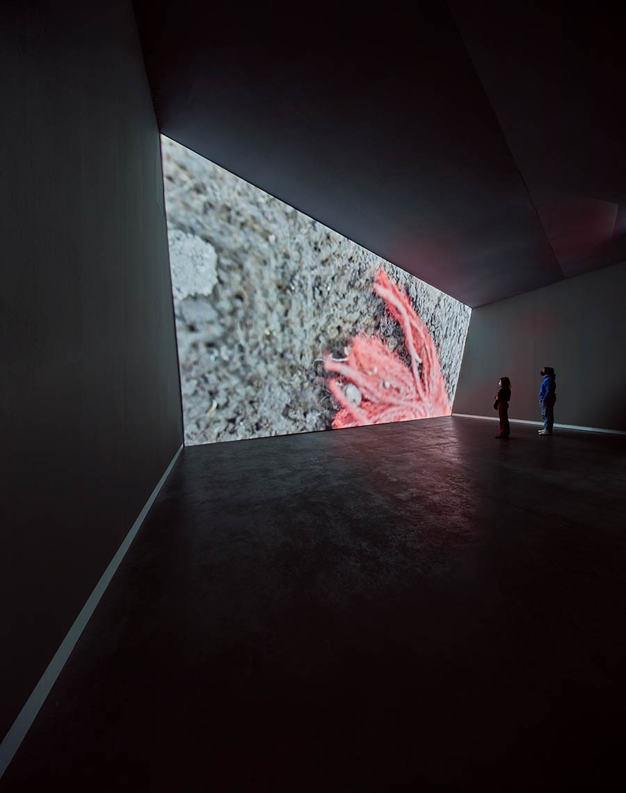 DE PONT MUSEUM