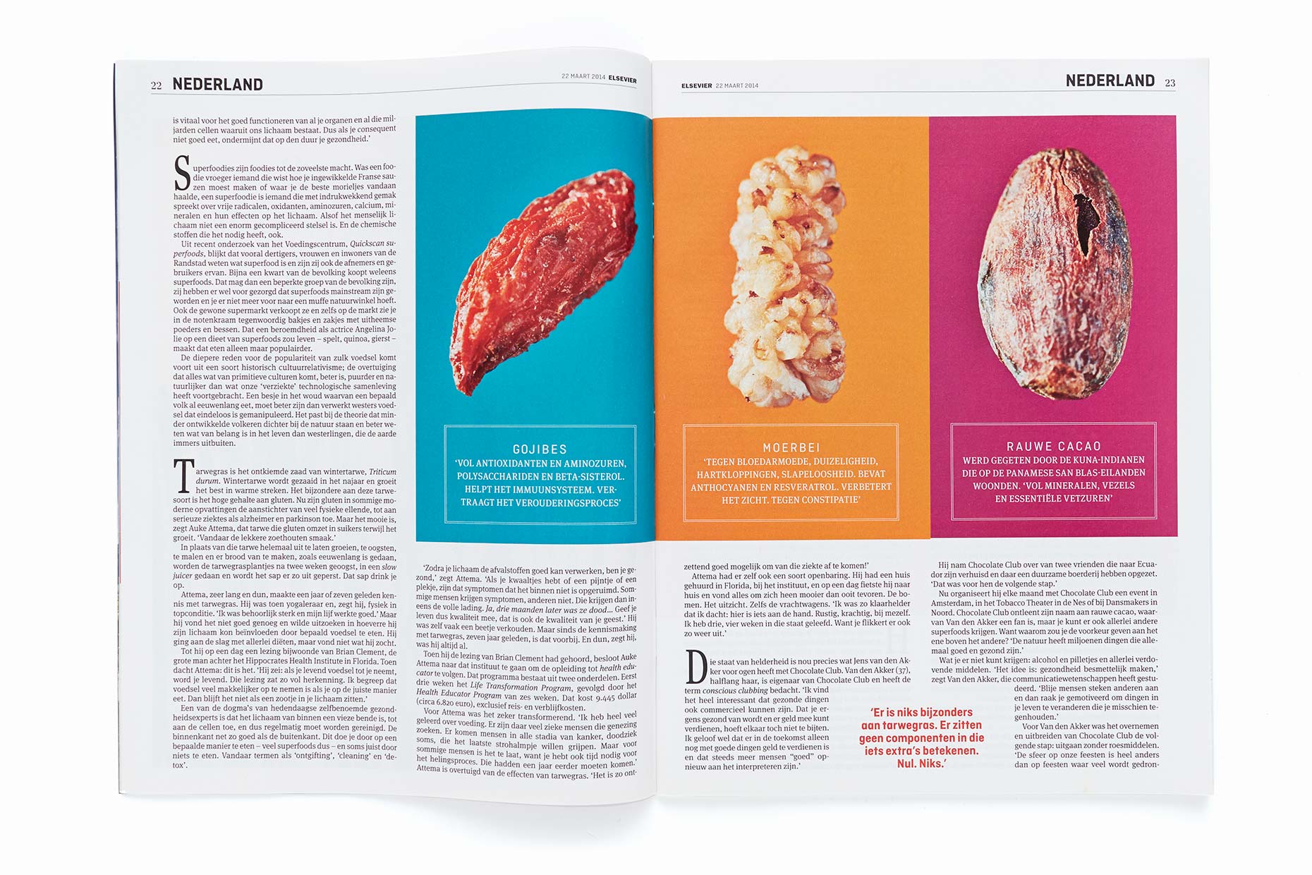 Repro-eigen-werk-jan2015-102-Superfoods-pag02
